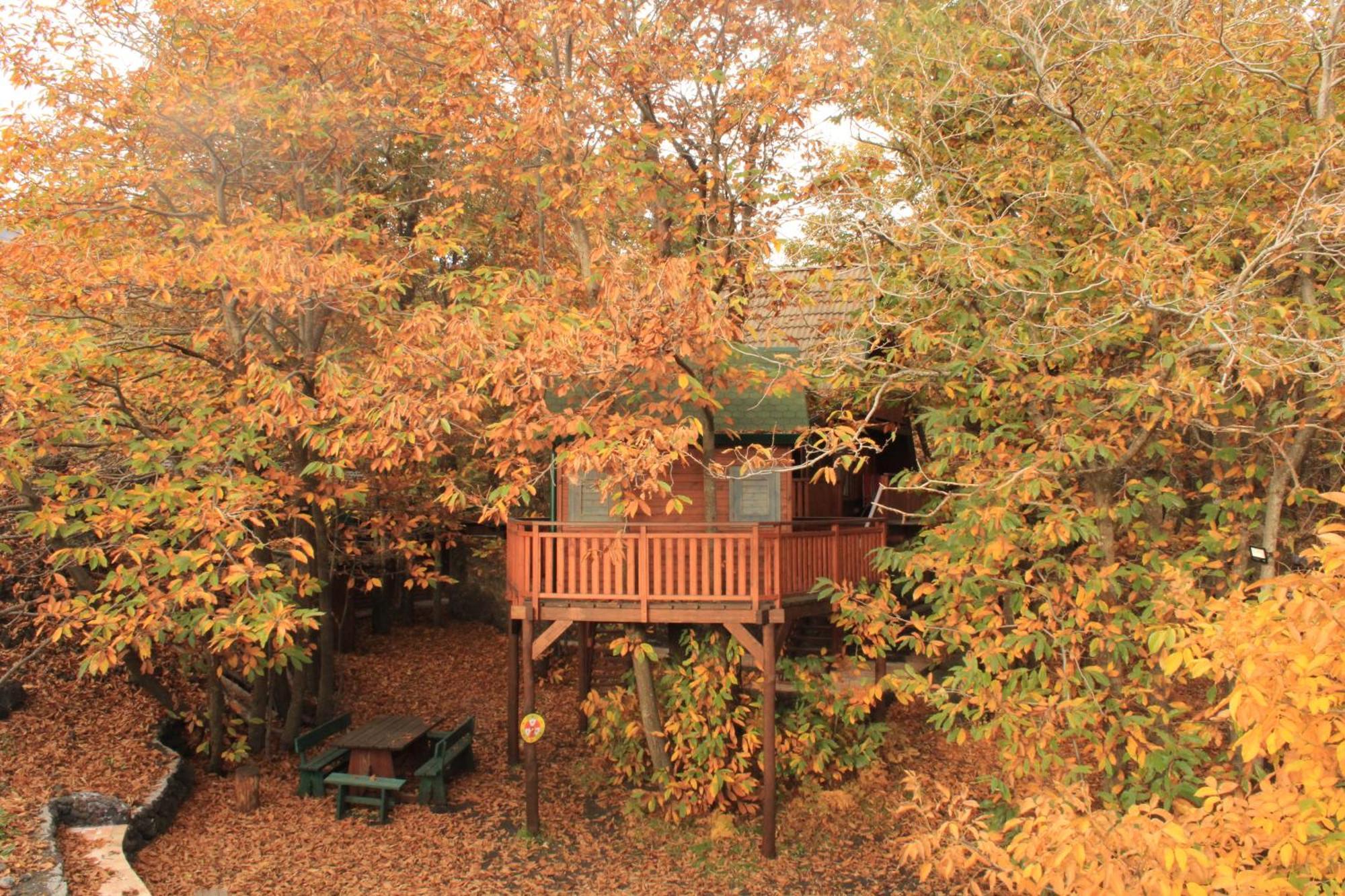 Matilde'S Chalet Etna Nature House Nicolosi Exterior photo