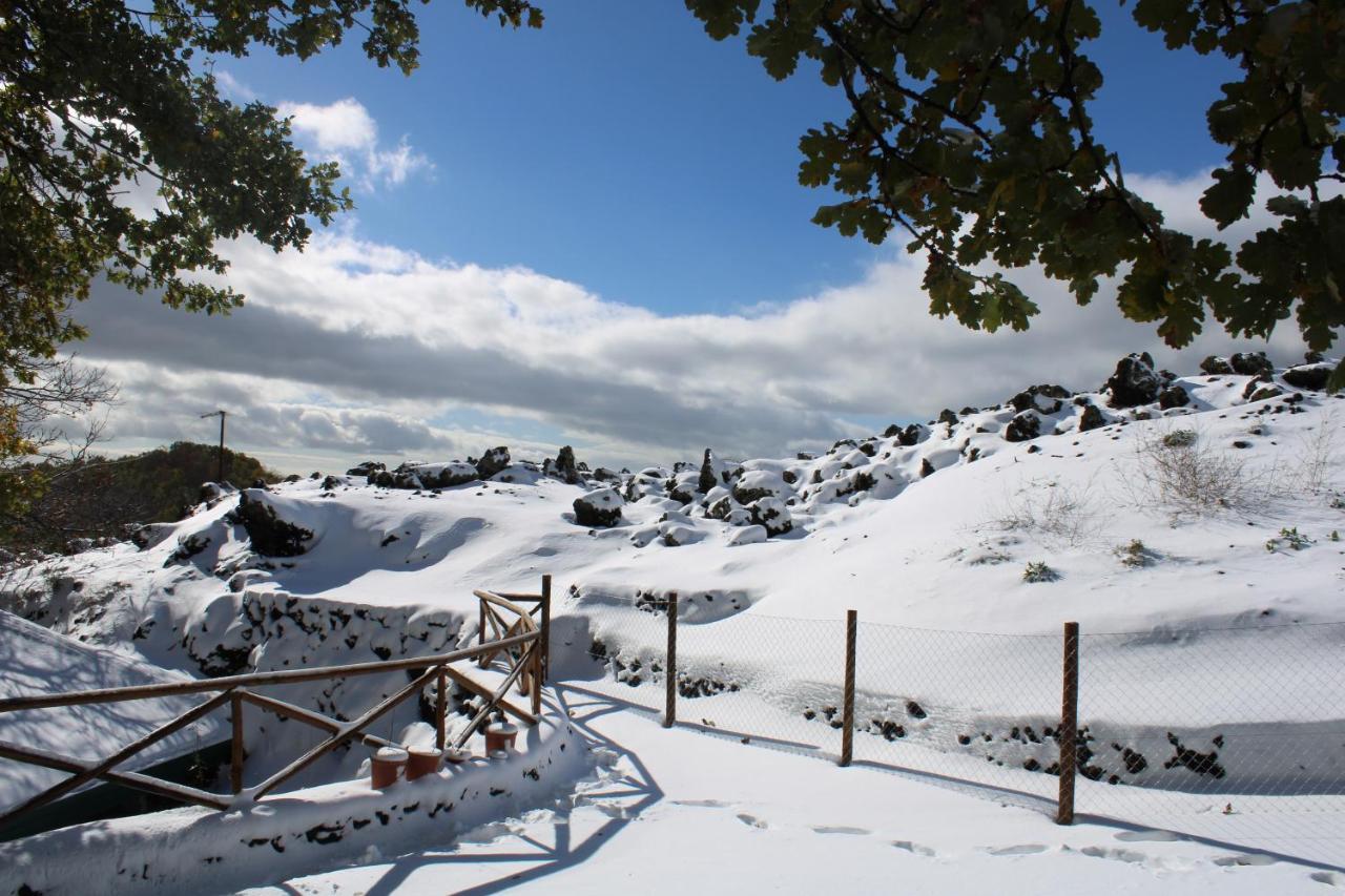 Matilde'S Chalet Etna Nature House Nicolosi Exterior photo